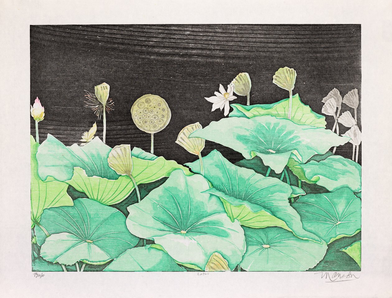 Lotus, 2016 von Jim Monson