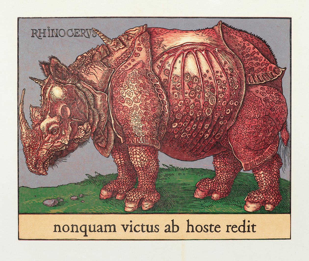 Rotes Nashorn, 2007 von Jim Monson