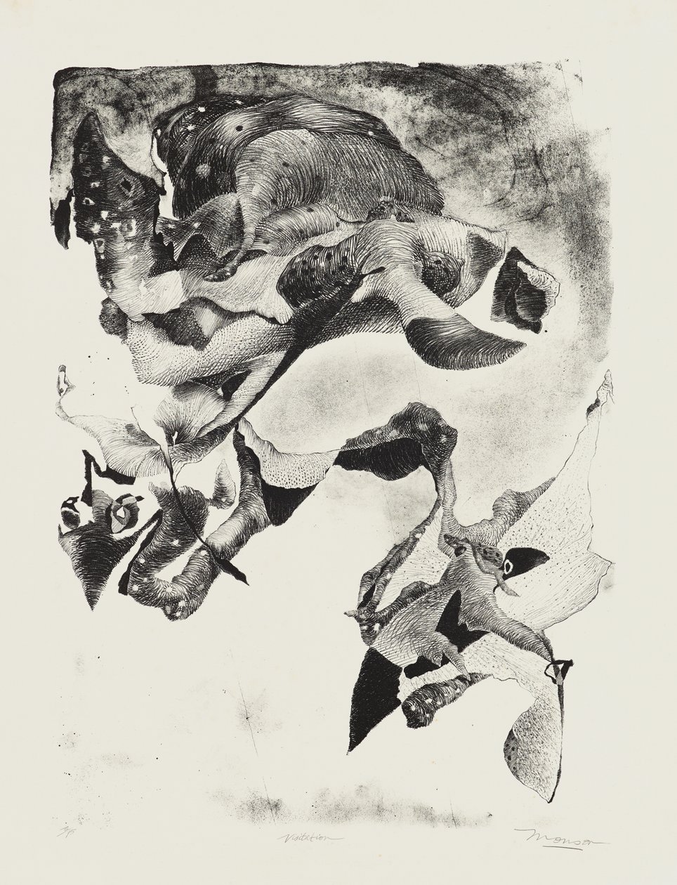 Heimsuchung von Jim Monson