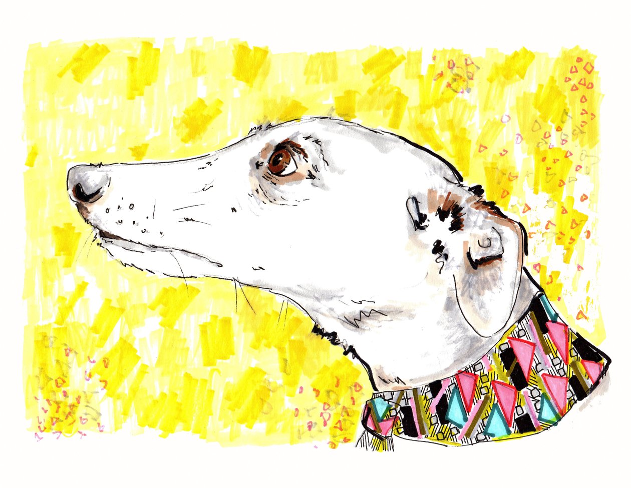 Silvertips der Windhund, 2012 (Feder und Tinte auf Papier) von Jo Chambers