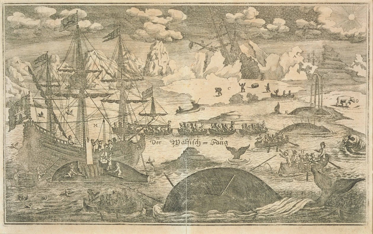 Die Walfischerei von Joachim Wichmann