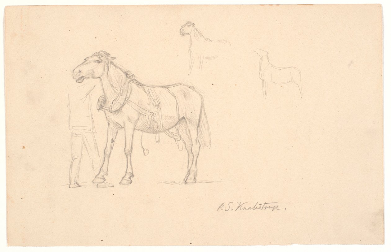 Drei Studien eines Pferdes von Joakim Frederik Skovgaard