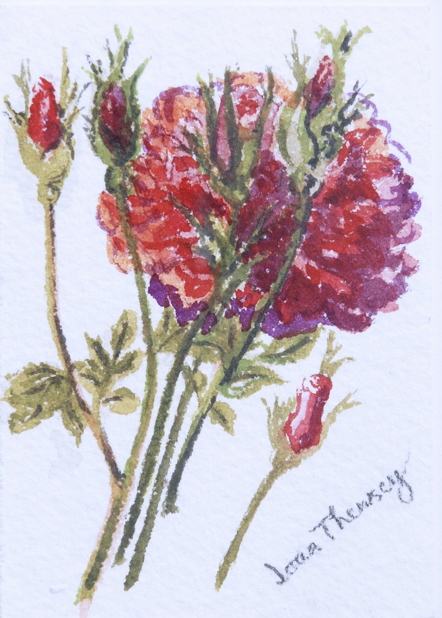 Kleine rote Rosen, 2005 von Joan Thewsey