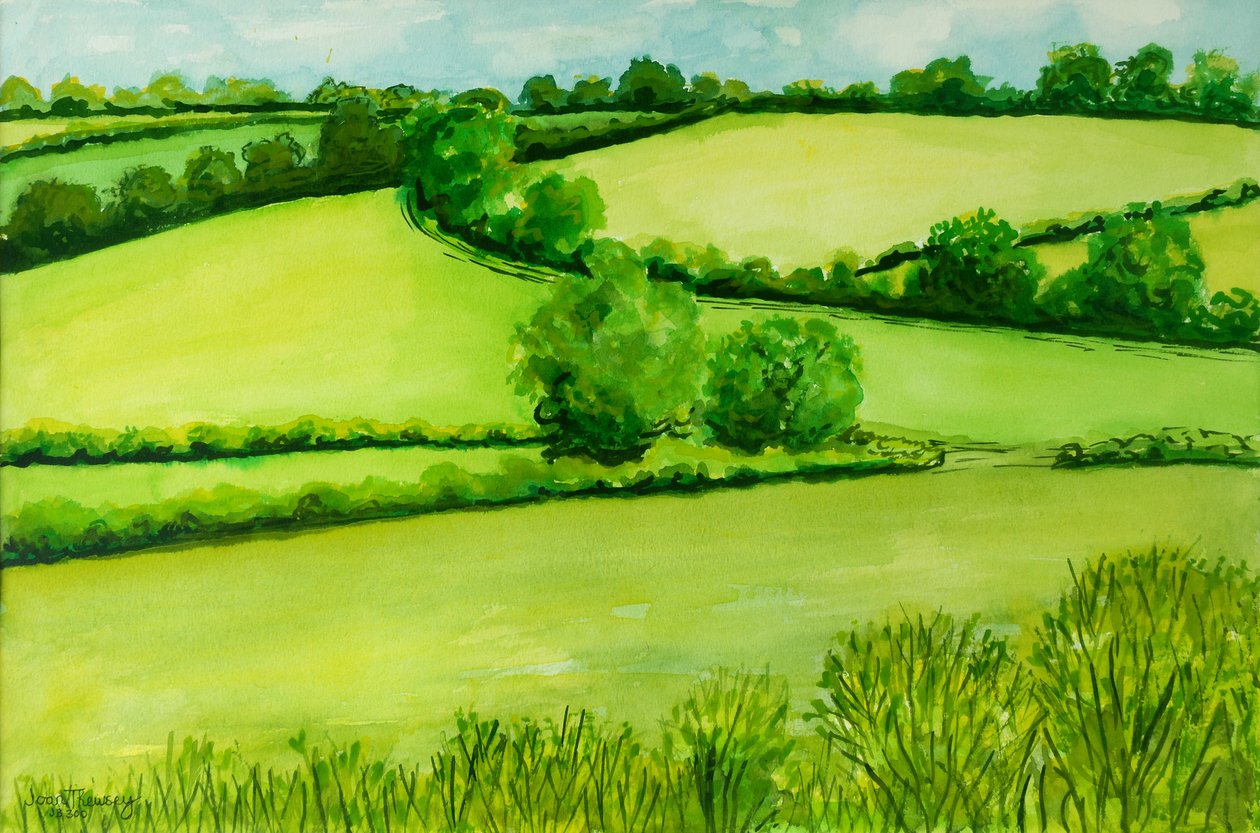 Sommerlandschaft, 2010 von Joan Thewsey