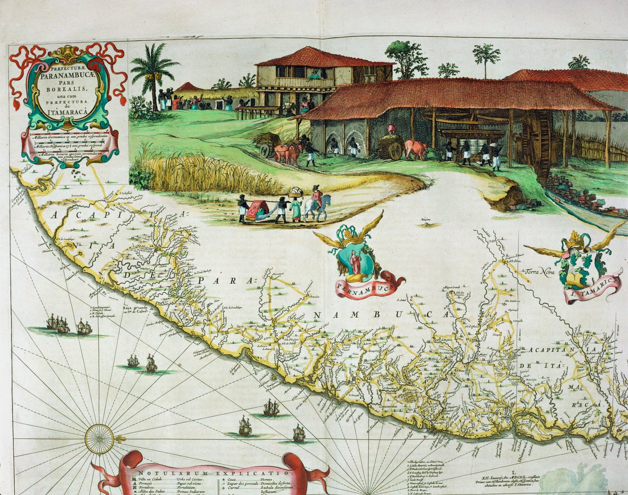 Joan Blaeus Atlas Major von Joan Blaeu