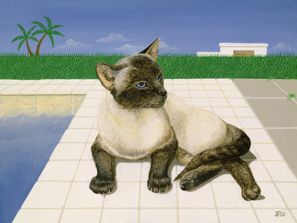 Siamkatze an einem Schwimmbecken von Joan Freestone
