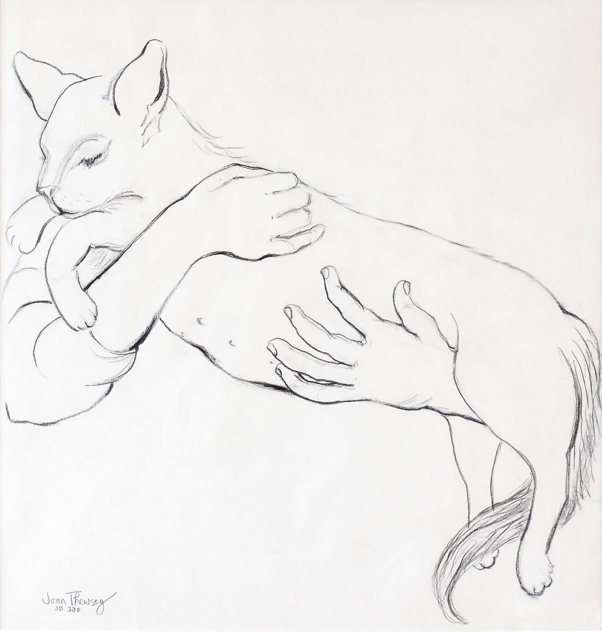 Kuschelige Katze, 2000 von Joan Thewsey