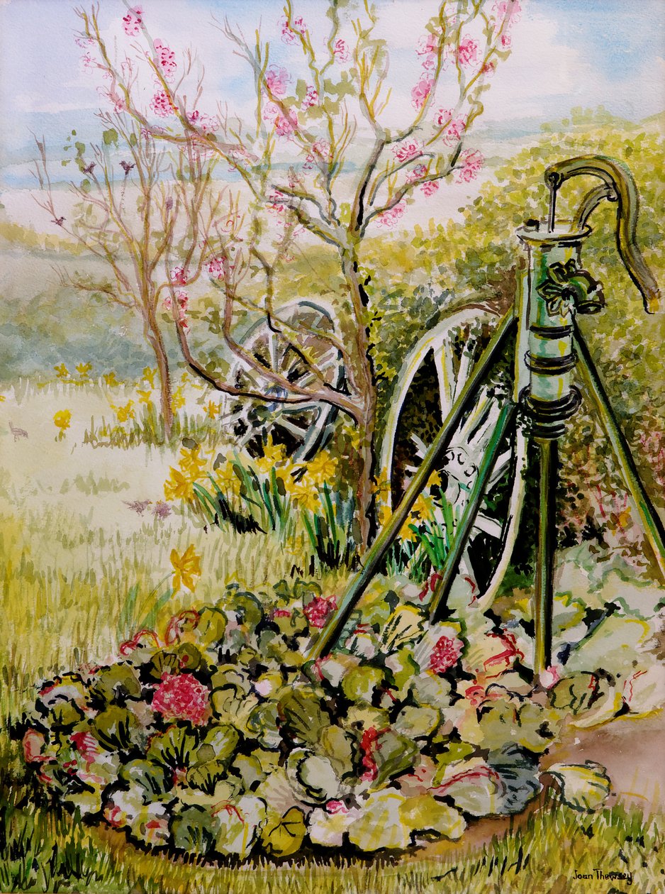 Die Gartenpumpe von Joan Thewsey