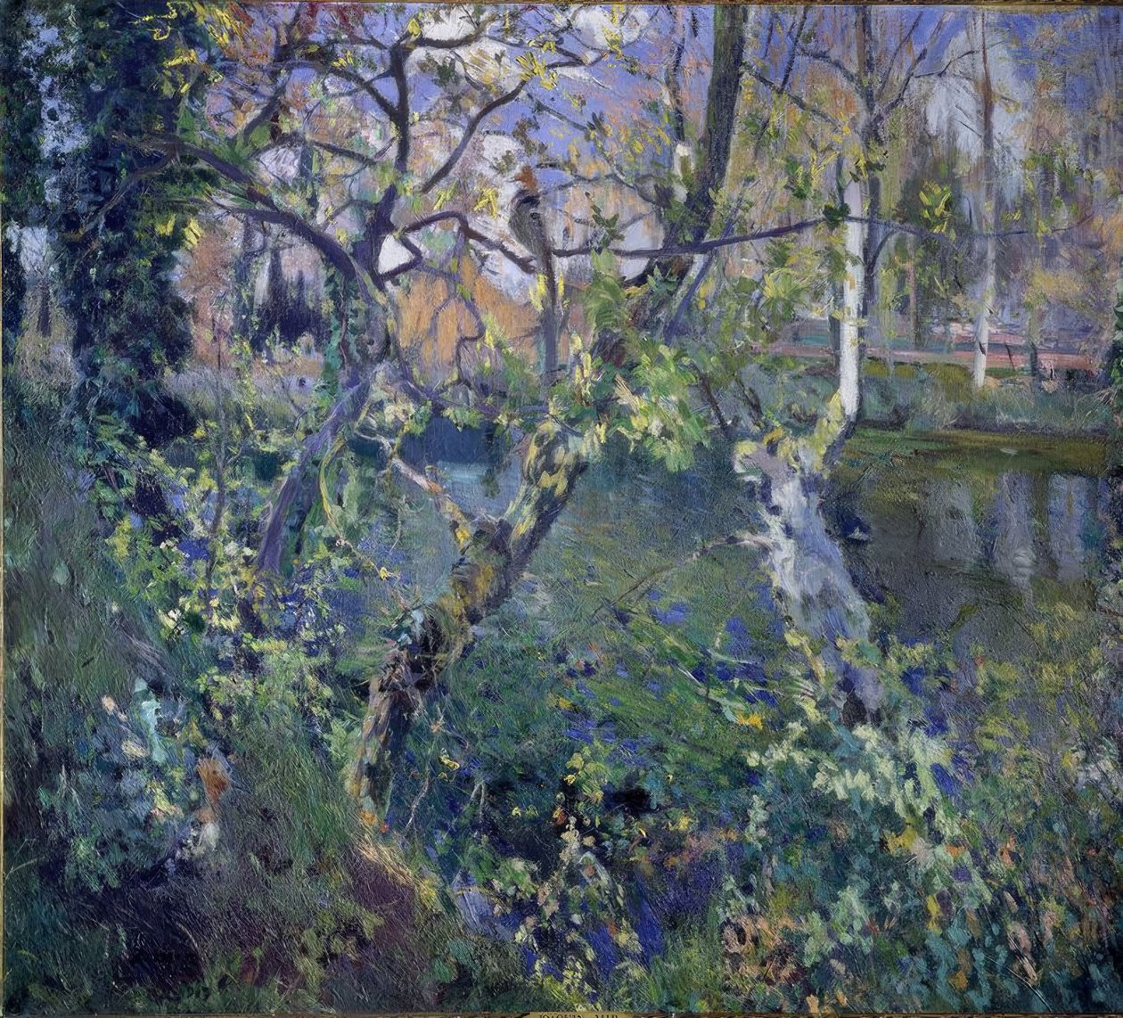 Der Regen von Moguda von Joaquim Mir i Trinxet
