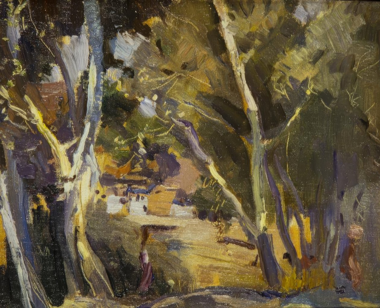Miravet von Joaquim Mir i Trinxet
