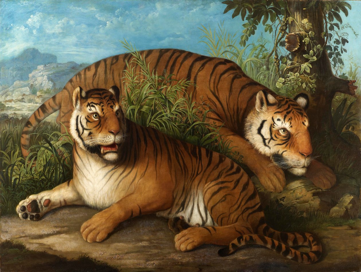 Königliche Bengalische Tiger von Johan Wenzel Peter