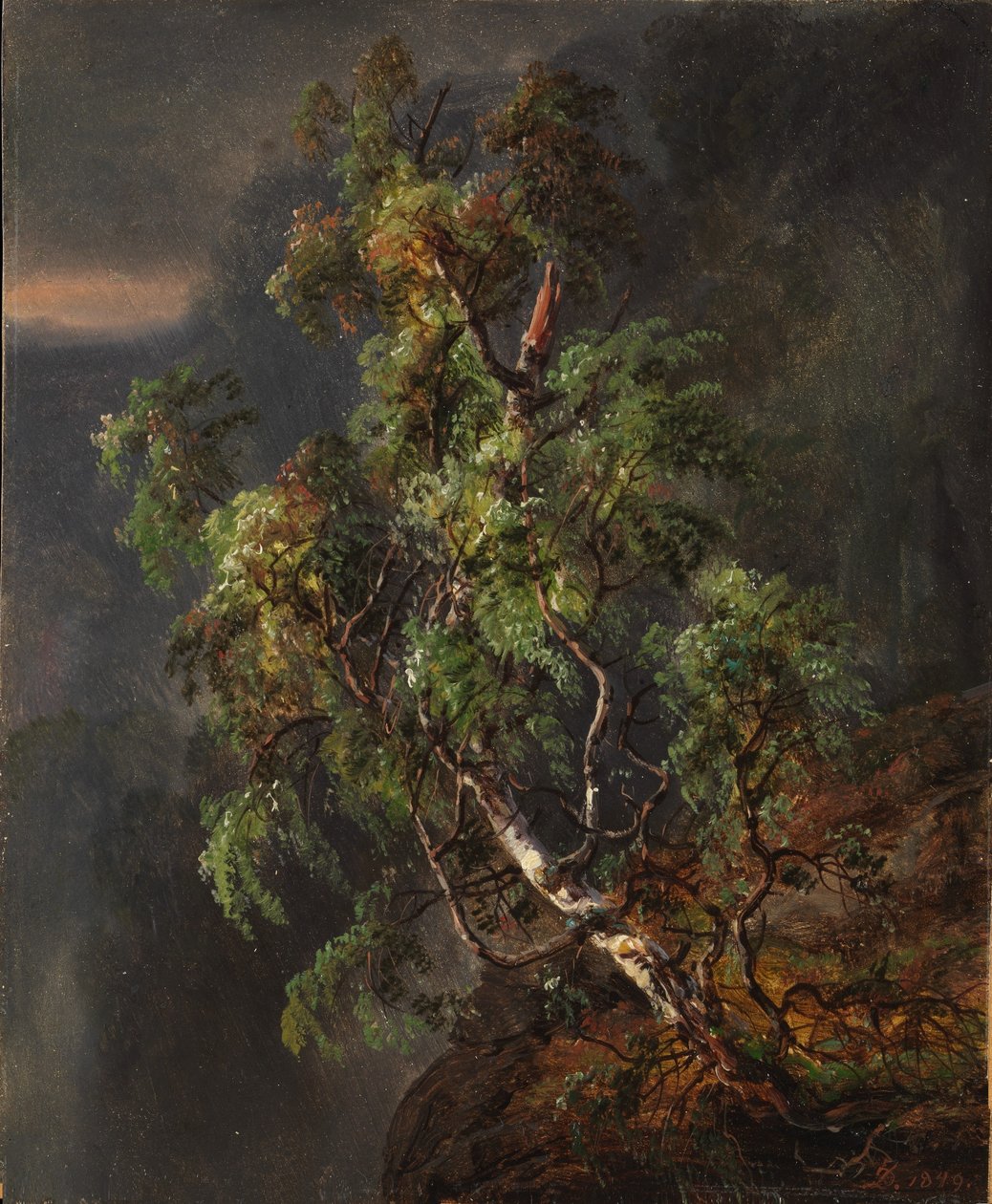 Birkenbaum im Sturm von Johan Christian Dahl