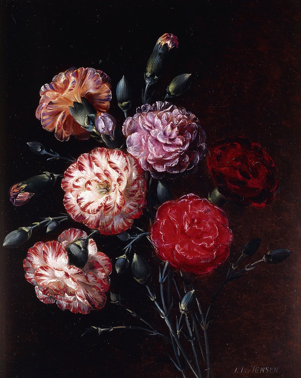 Nelken von Johan Laurents Jensen