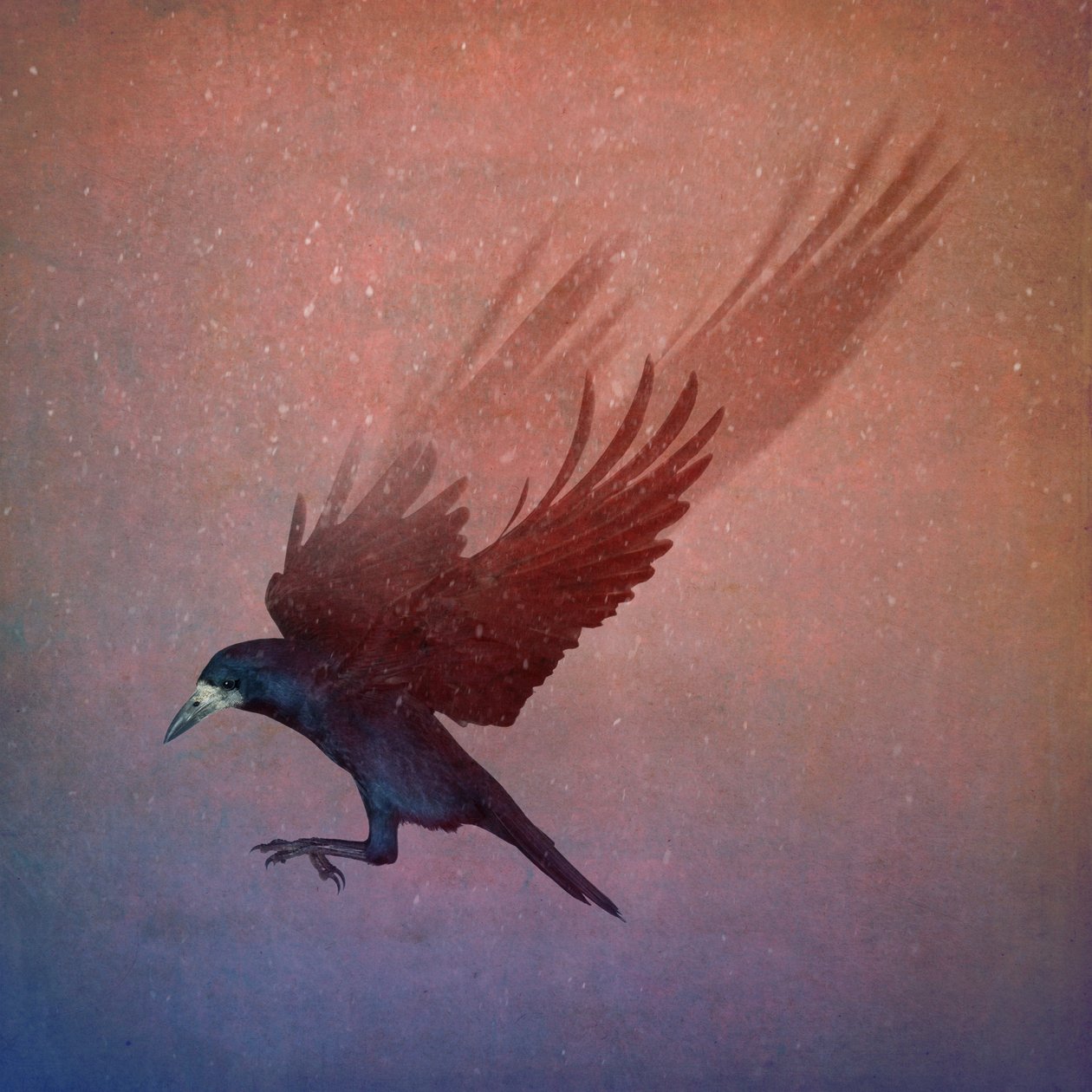 Vogelreich von Johan Lilja