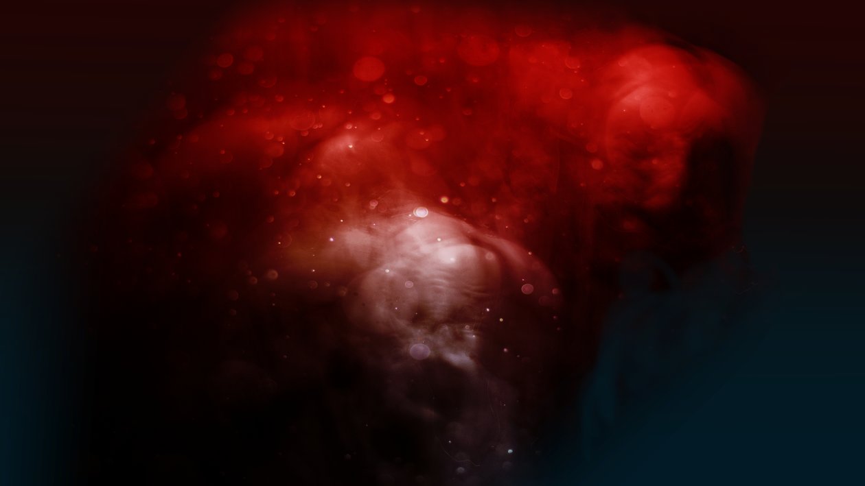 Blutlinie Das Hässliche, 2019 von Johan Lilja