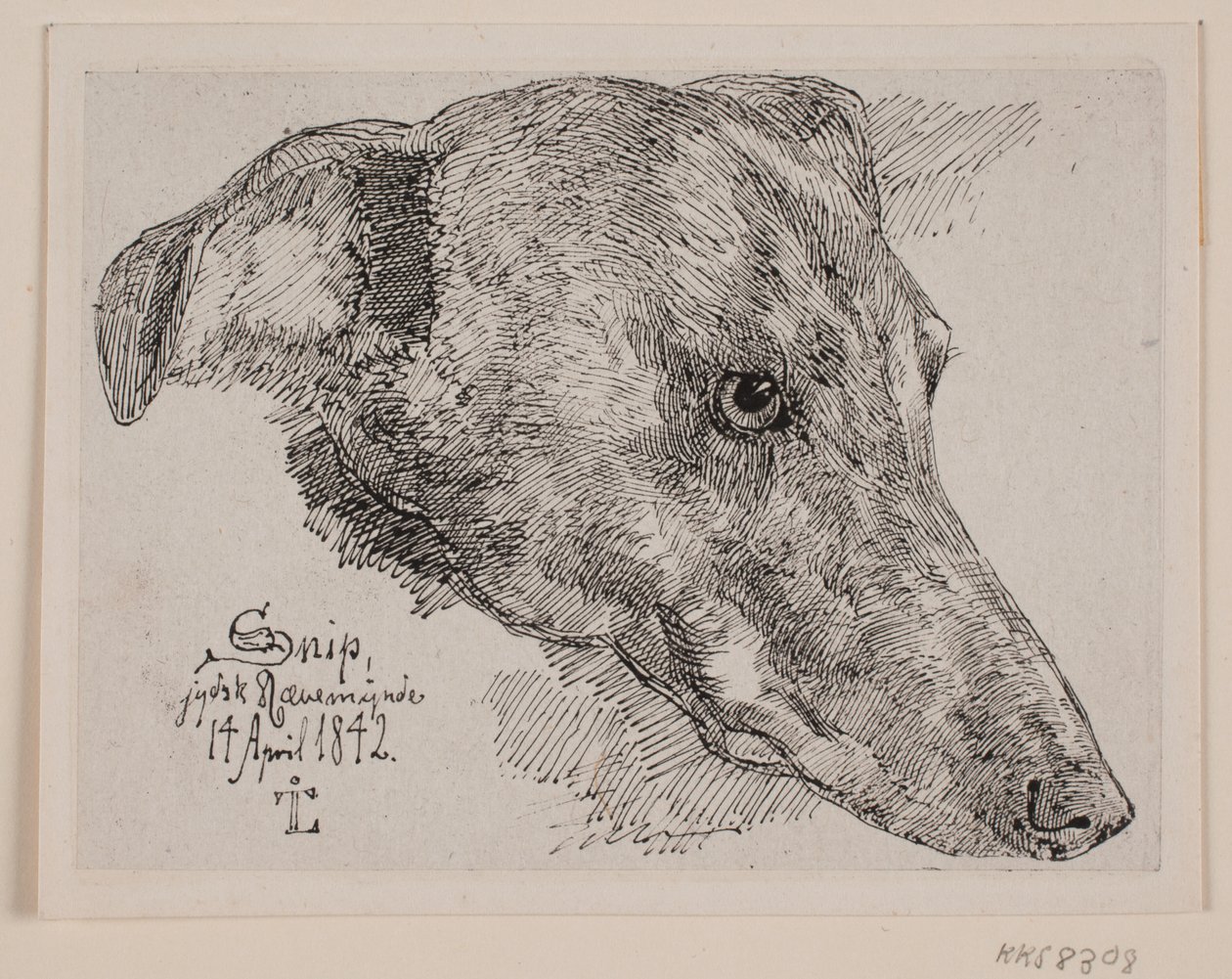 Hundekopf, Snip von Johan Lundbye