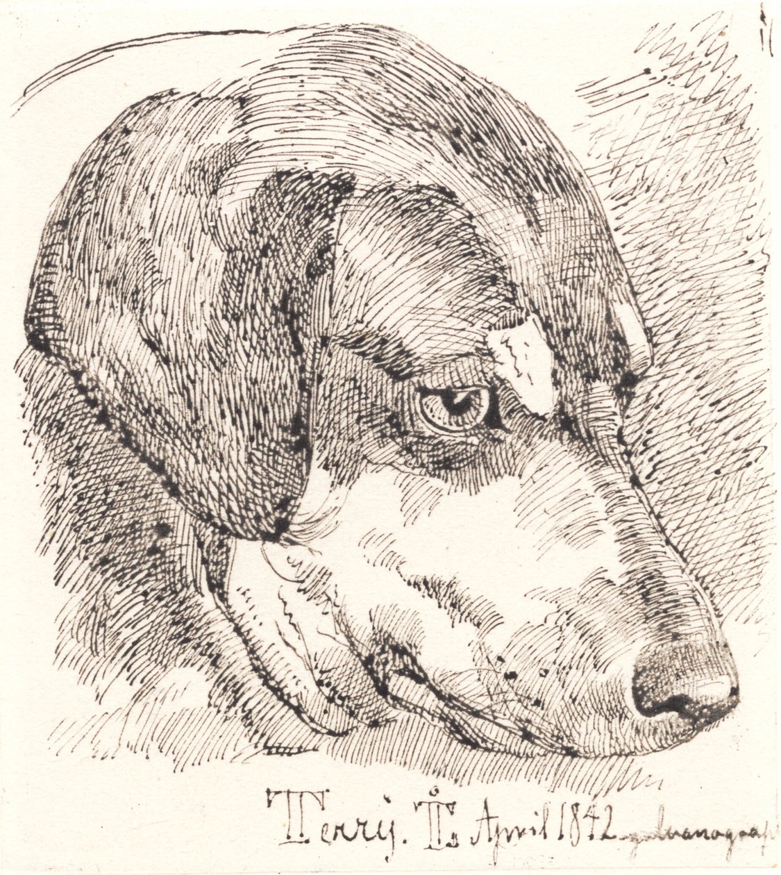 Hundekopf, Terry von Johan Lundbye