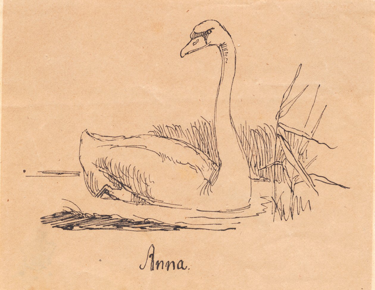 Ein Schwan von Johan Thomas Lundbye