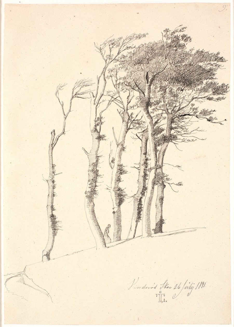Gruppe von windgepeitschten Bäumen von Johan Thomas Lundbye