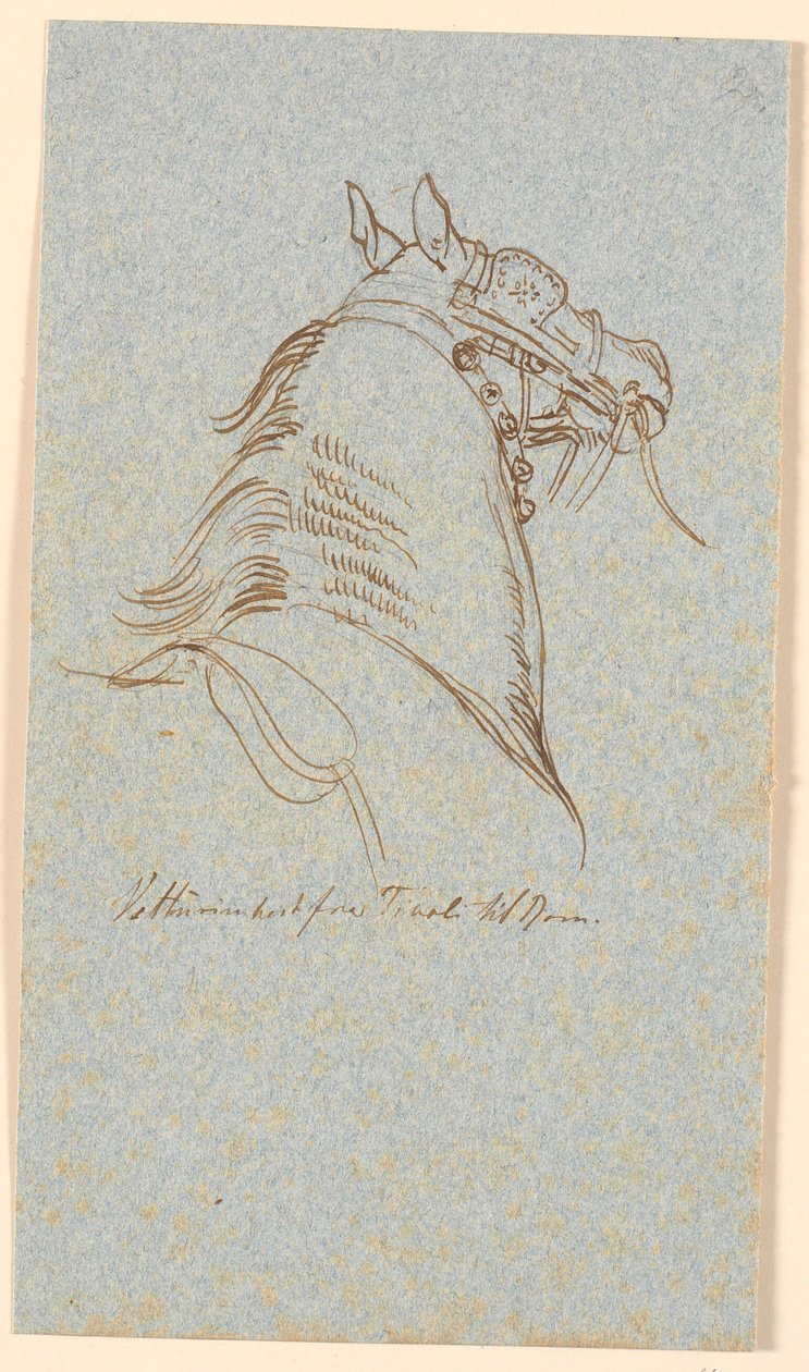 Kopf und Hals eines Vetturinpferdes von Johan Thomas Lundbye