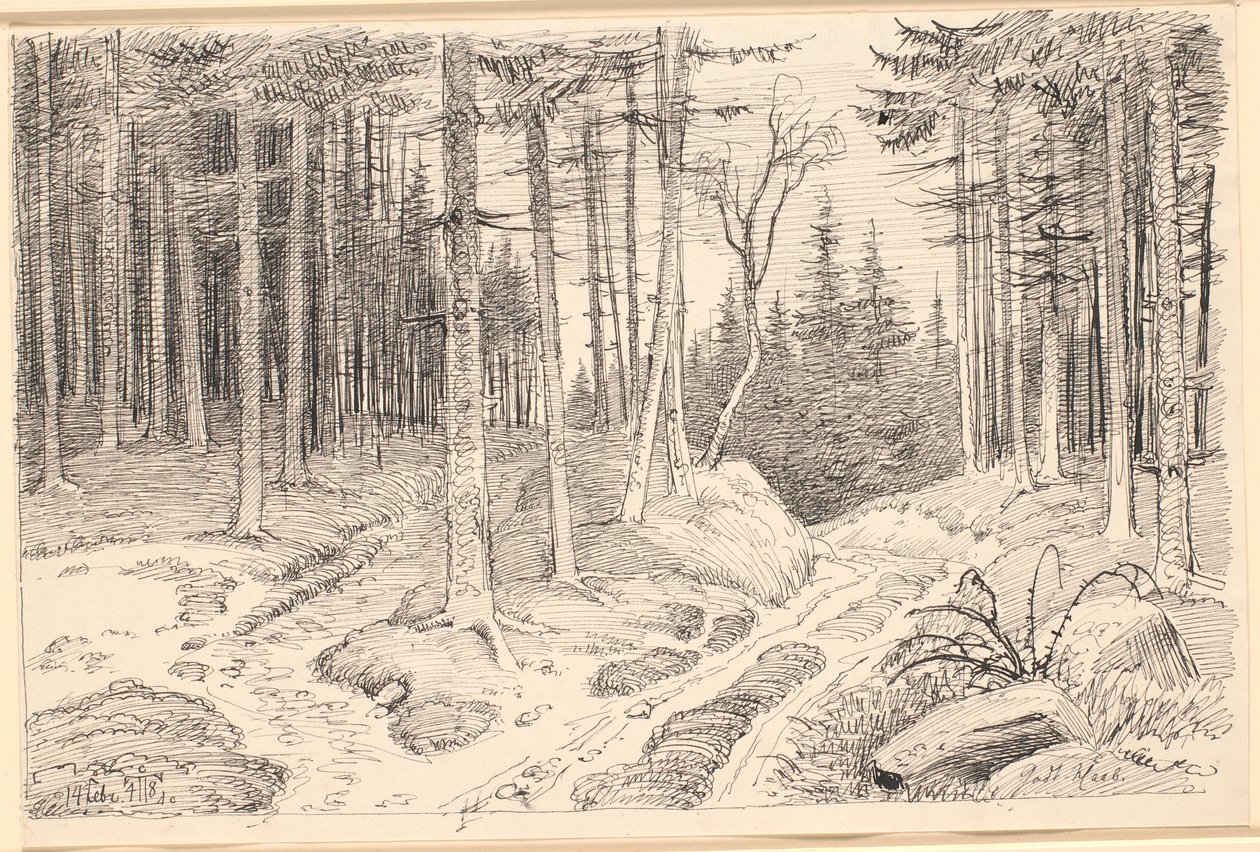Hohlweg durch einen Tannenwald von Johan Thomas Lundbye