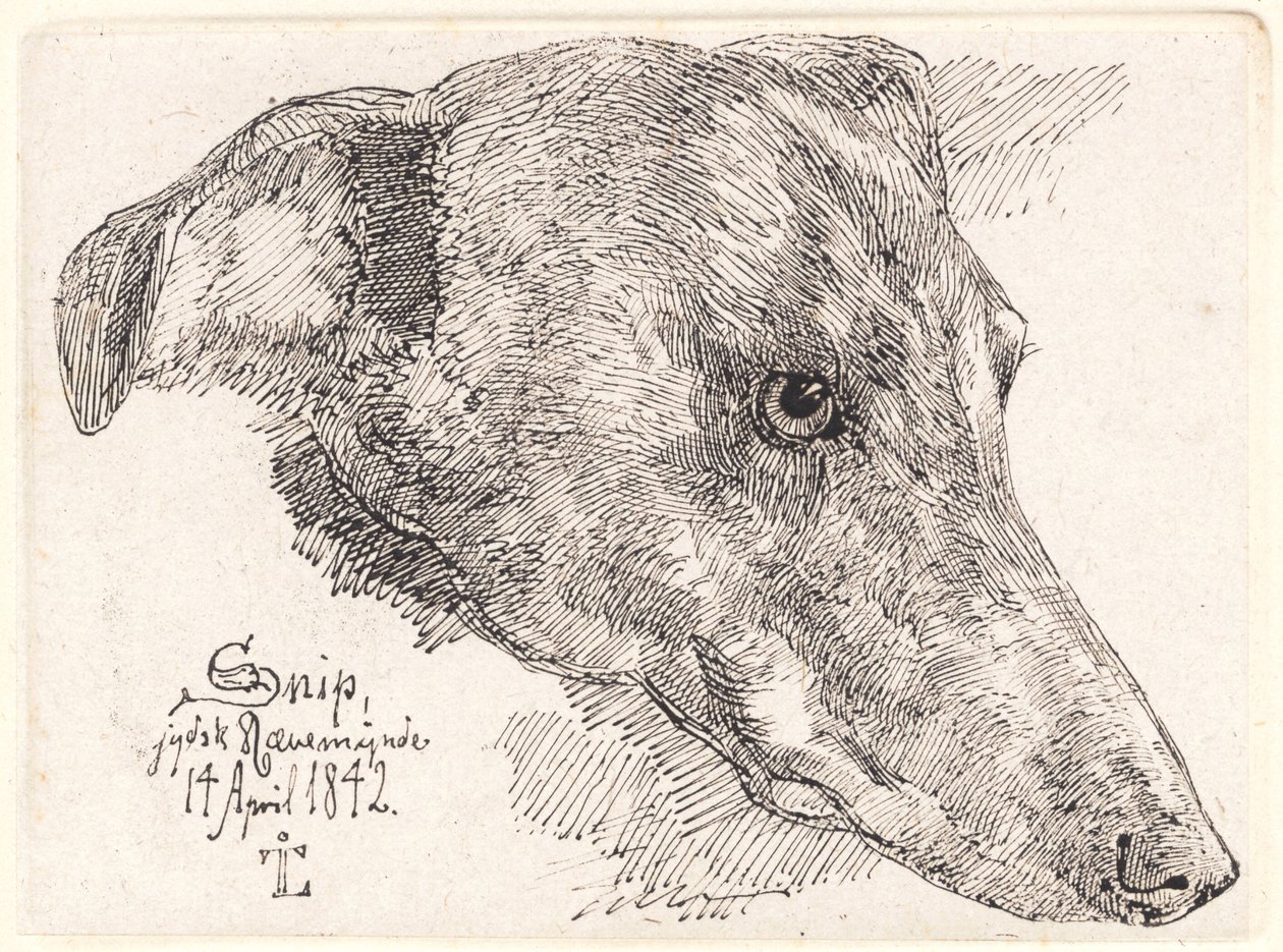 Hundekopf, Snip von Johan Thomas Lundbye