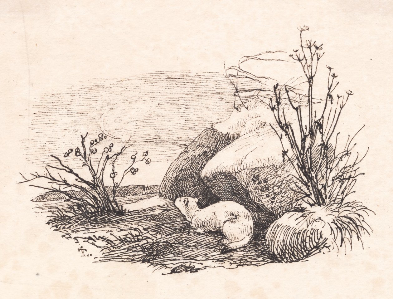 Hermelin von Johan Thomas Lundbye