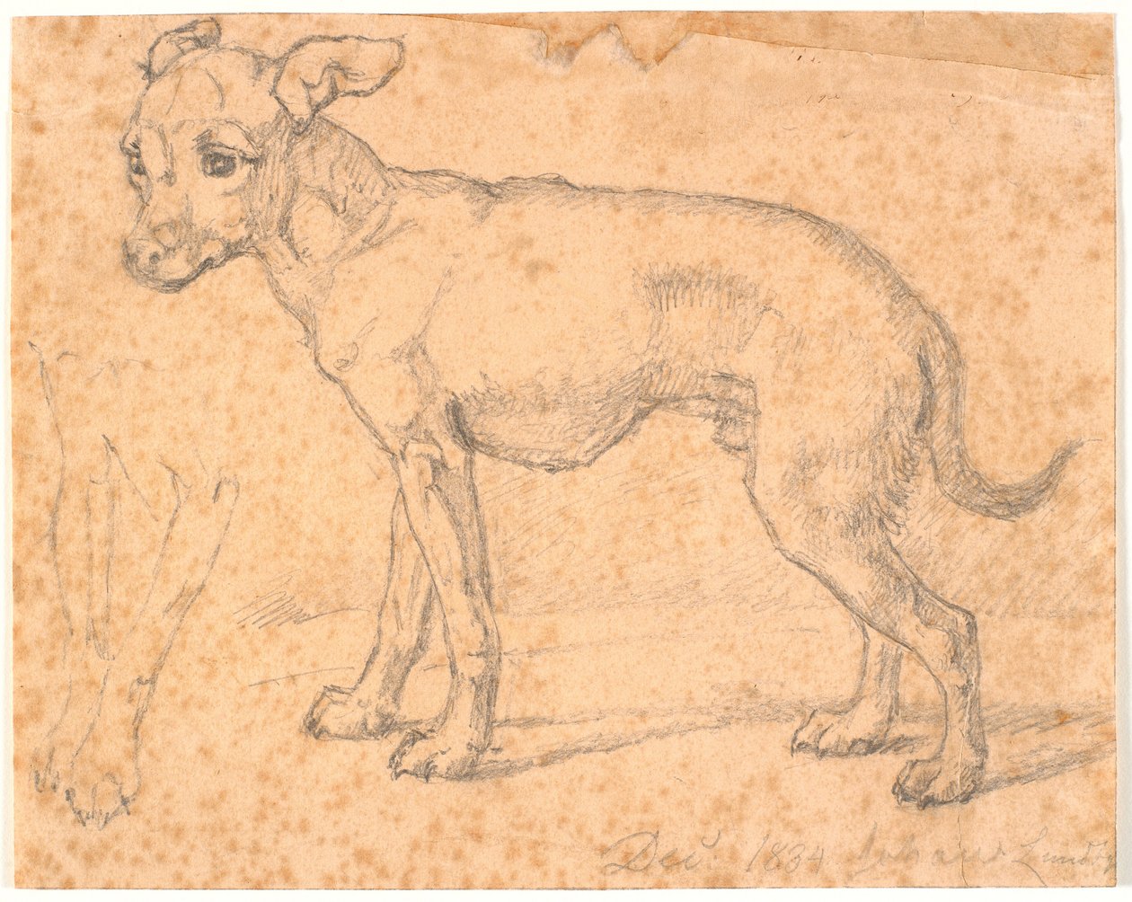 Stehender Hund von Johan Thomas Lundbye