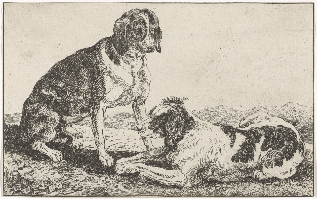 Zwei Hunde von Johan le Ducq