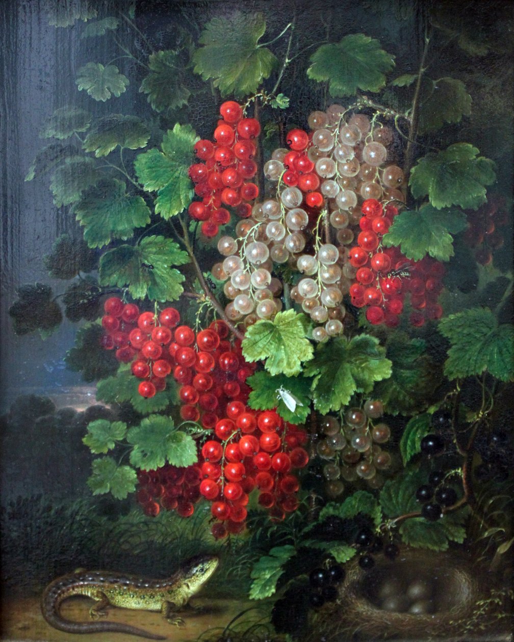 Rote Johannisbeeren von Johann Adam Schlesinger