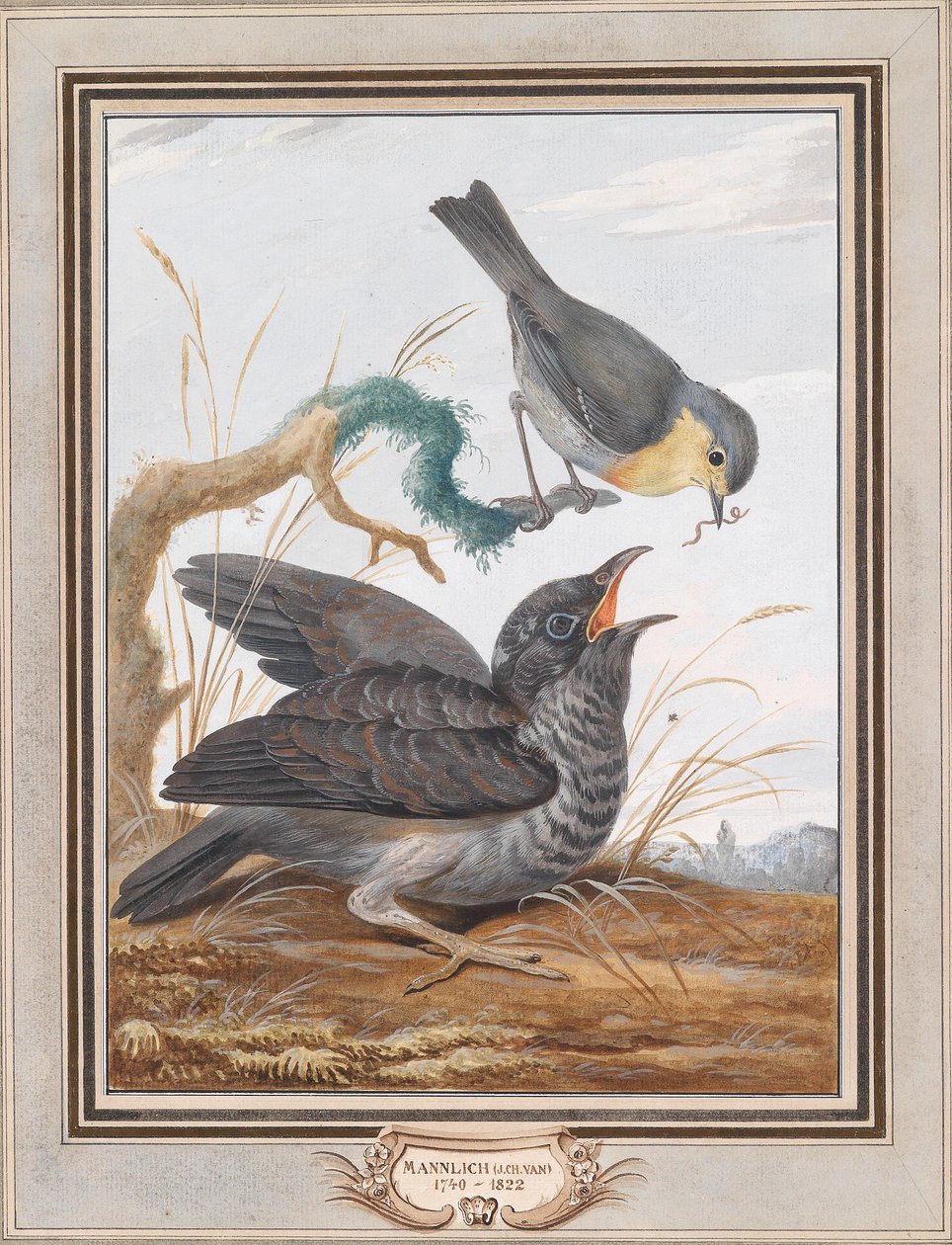 Ein Kuckuck wird von einem Rotkehlchen gefüttert von Johann Christian von Mannlich