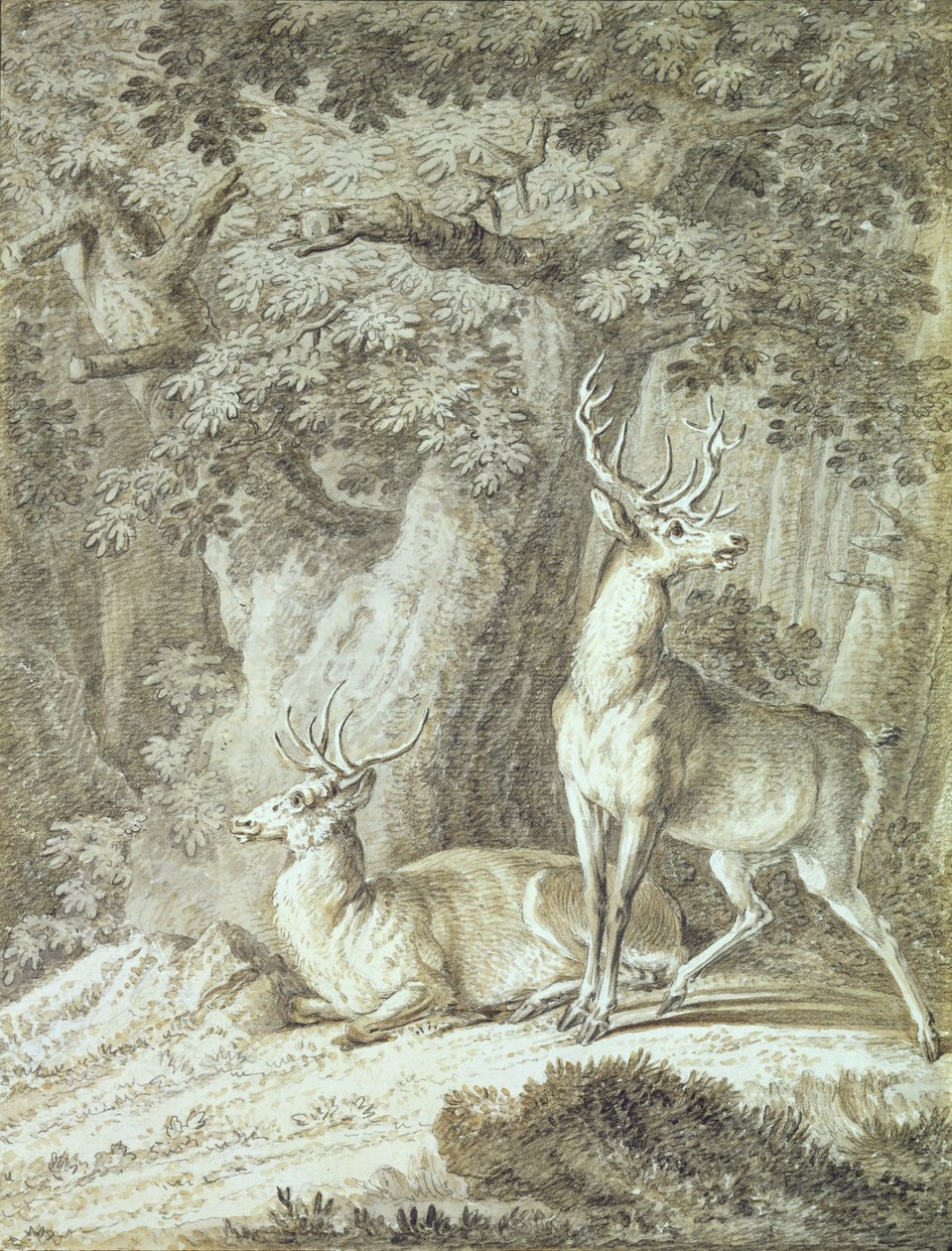 Zwei Hirsche von Johann Elias Ridinger or Riedinger