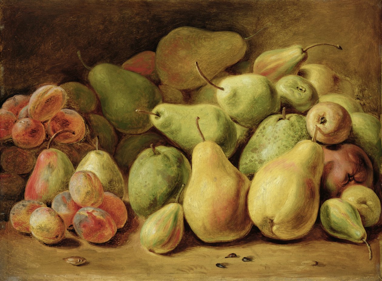 Früchtestillleben von Johann Friedrich August Tischbein
