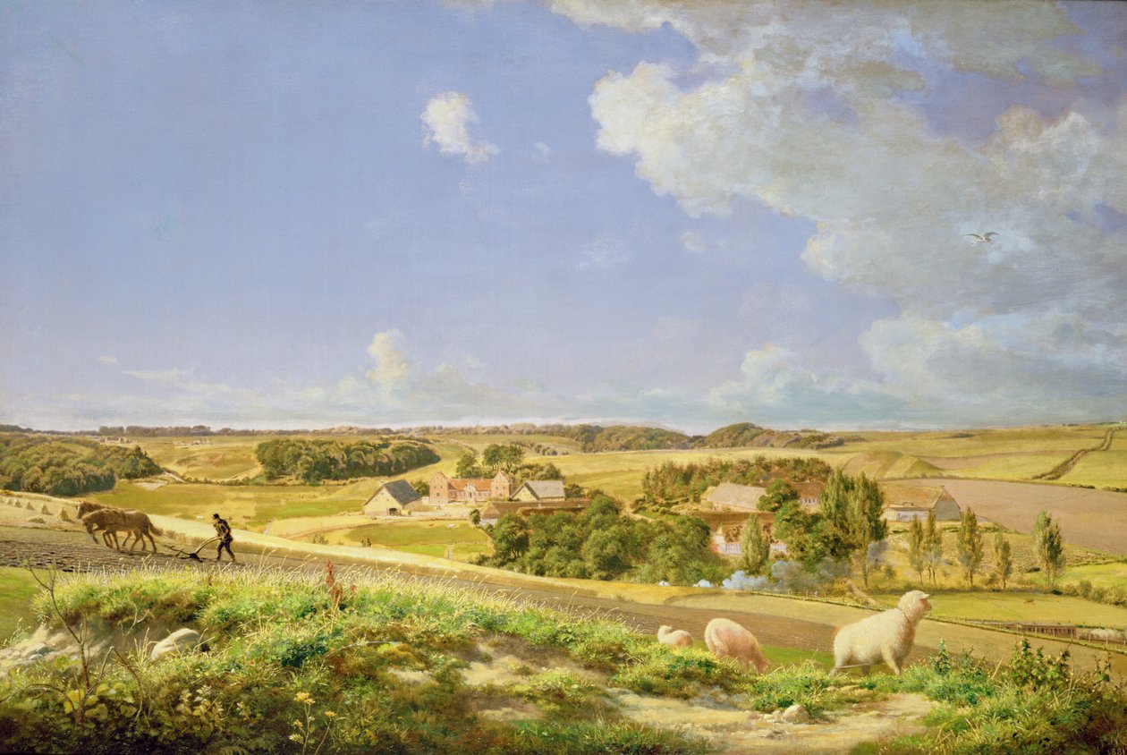 Waldlandschaft von Johan Frederick Moller