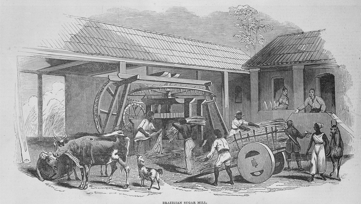 Die Zuckerfabrik, ca. 1835 von Johann Moritz Rugendas