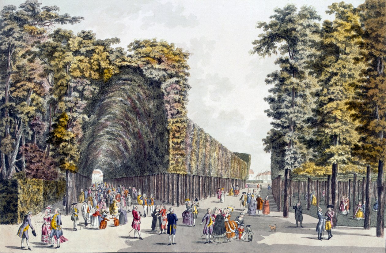 Limegrove Walk, Augarten, Wien, 1790er Jahre von Johann Ziegler