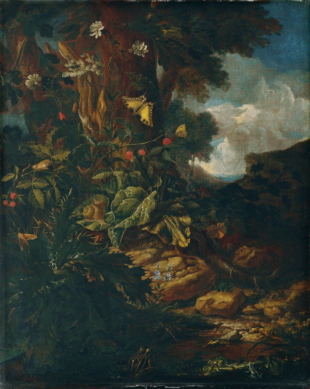 Landschaft mit Reptilien und Insekten (II) von Johann Adalbert Angermayer