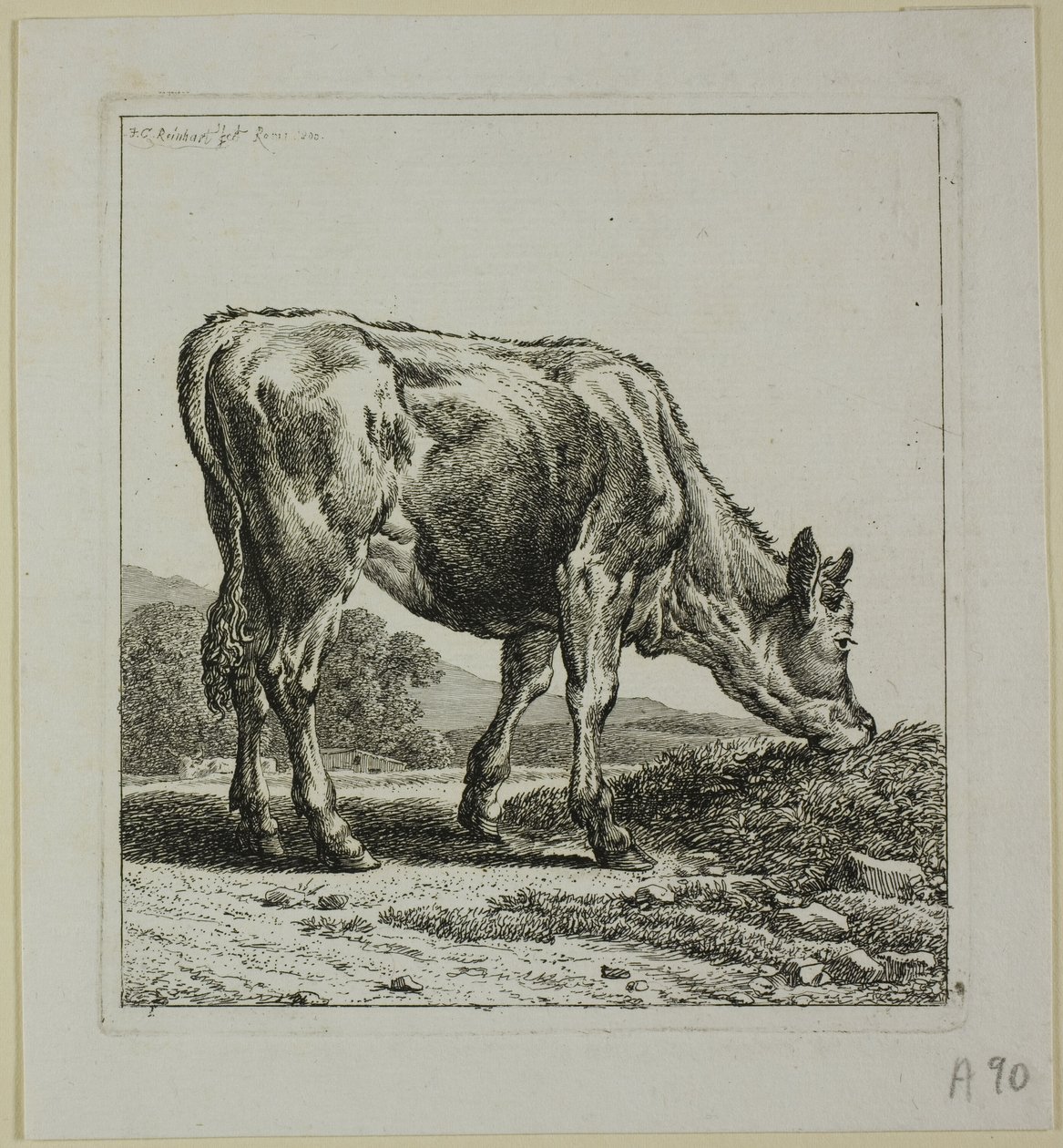 Kalb füttern, aus Die Zweite Thierfolge von Johann Christian Reinhart
