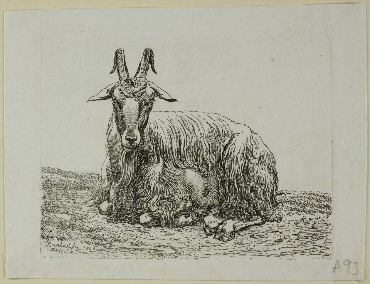 Liegende Ziege, aus Die Zweite Thierfolge von Johann Christian Reinhart