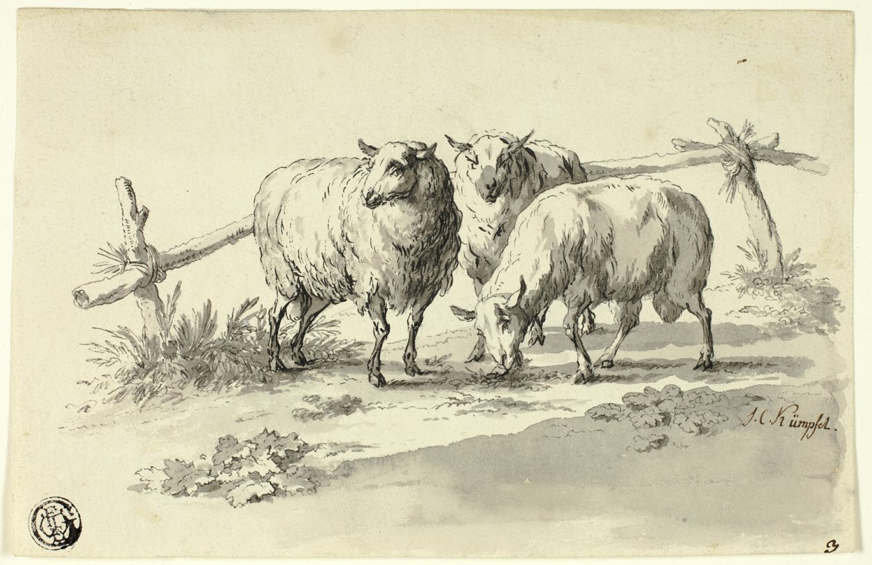 Schafe von Johann Christoph Kimpfel