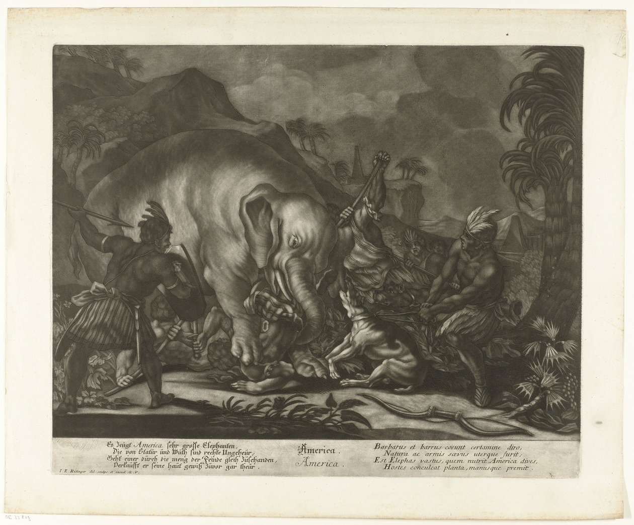Jagd auf Elefanten von Johann Elias Ridinger