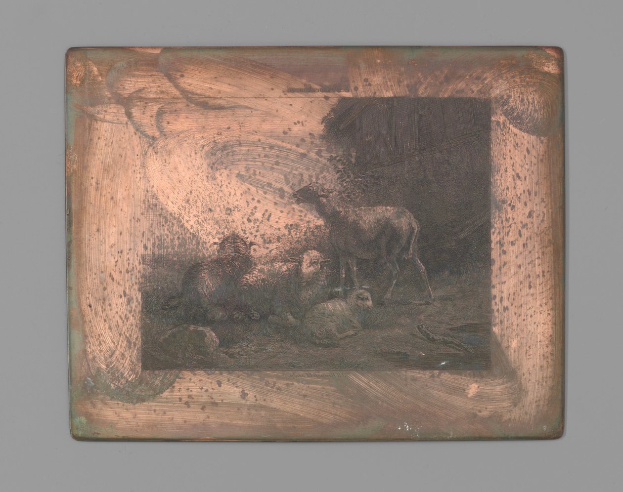 Vier Schafe von Johann Heinrich Maria Hubert Rennefeld (signed by artist)