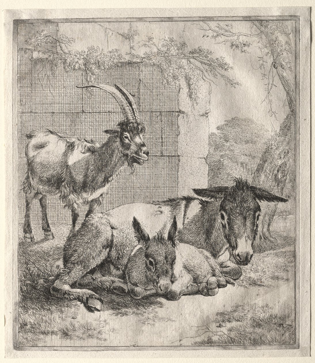 Ziege und Esel von Johann Heinrich Roos
