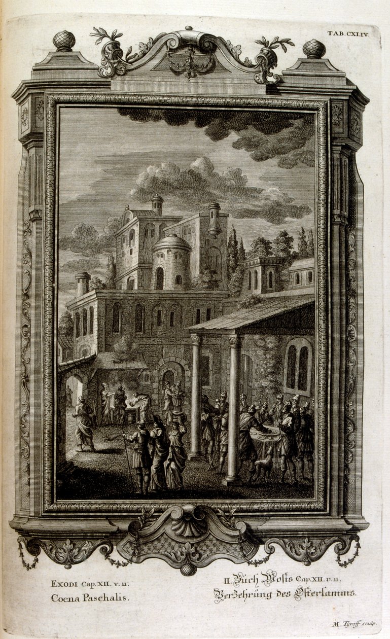 Illustration von Johann Jakob Scheuchzer