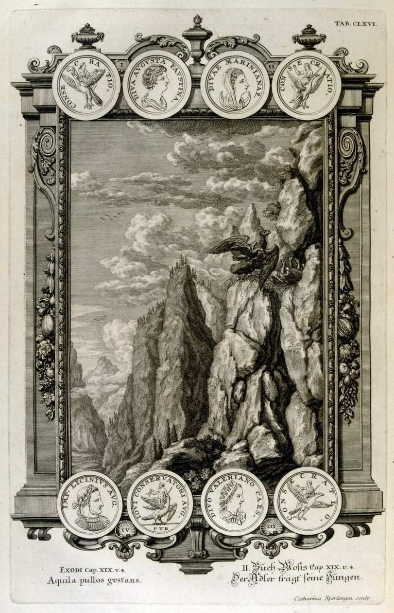 Zeus symbolisiert als Adler von Johann Jakob Scheuchzer