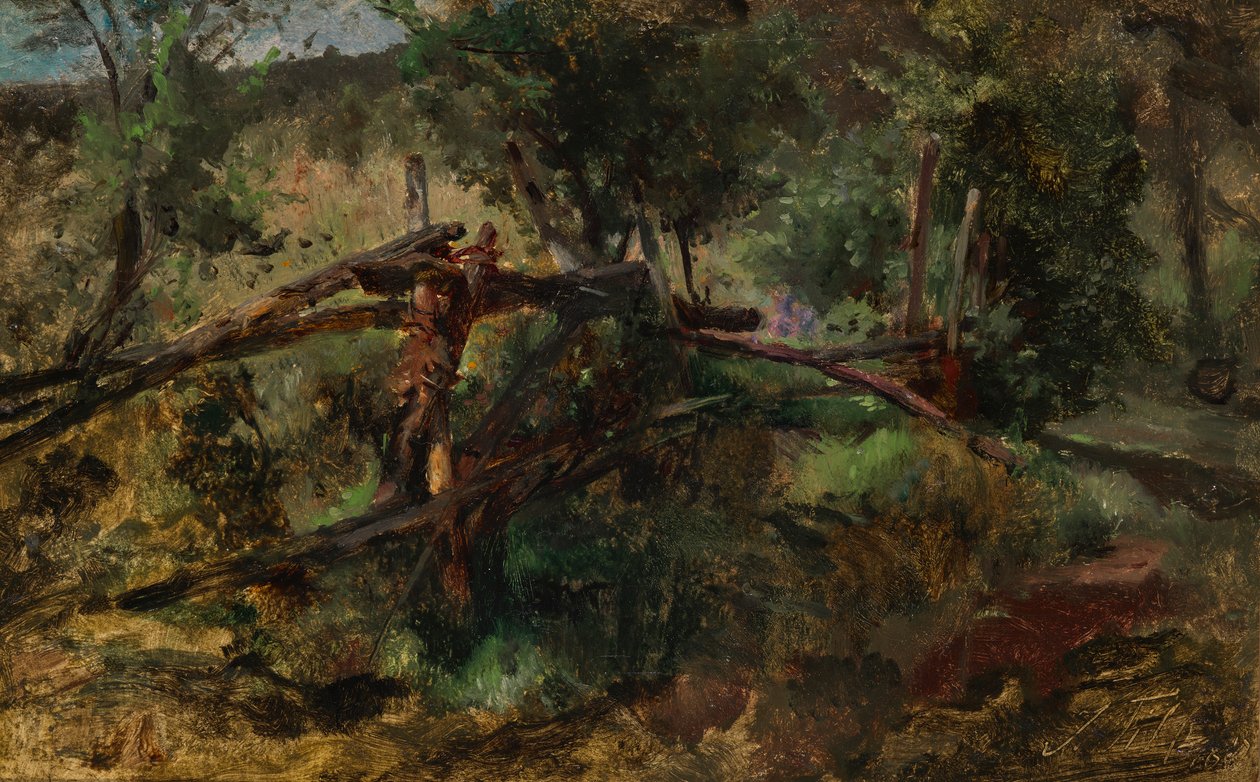 Waldweg mit Zaun von Johann  Till der Jüngere