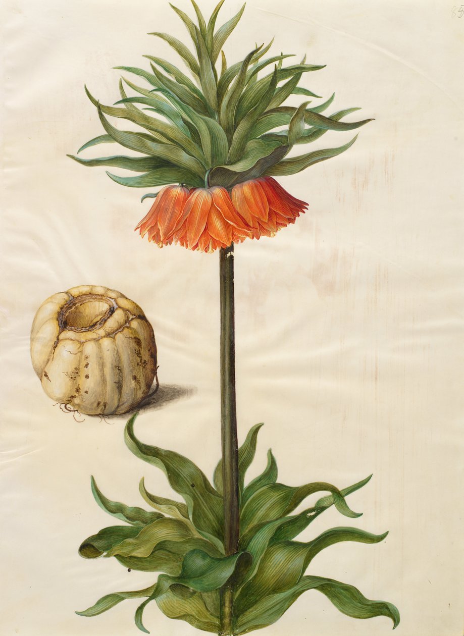 Kaiserkrone von Johannes Simon Holtzbecher