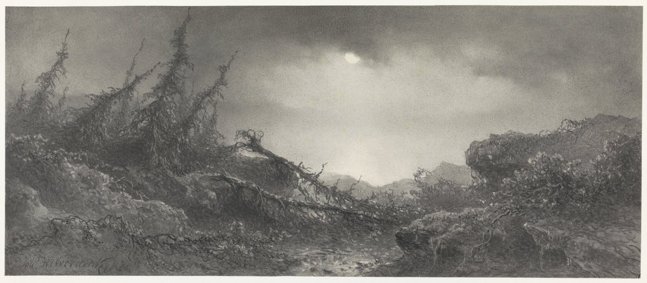Nach dem Sturm von Johannes Hilverdink