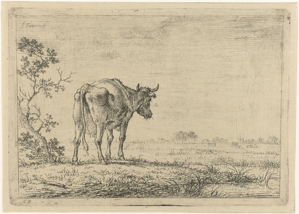 Kuh auf der Weide von Johannes Janson