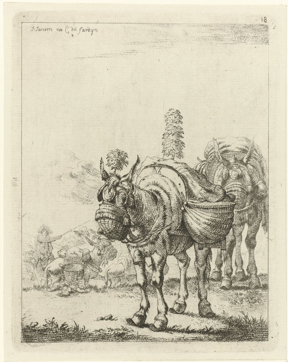 Zwei beladene Maultiere von Johannes Janson